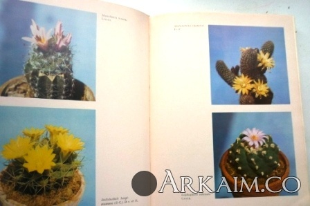 Изображение 3195.jpg