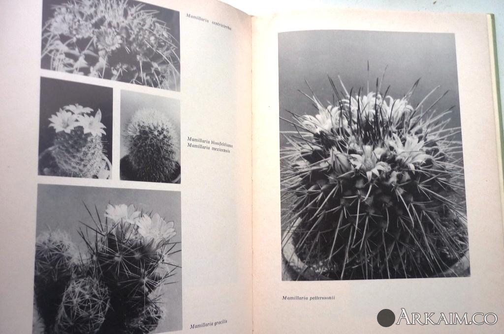 Изображение 3197.jpg