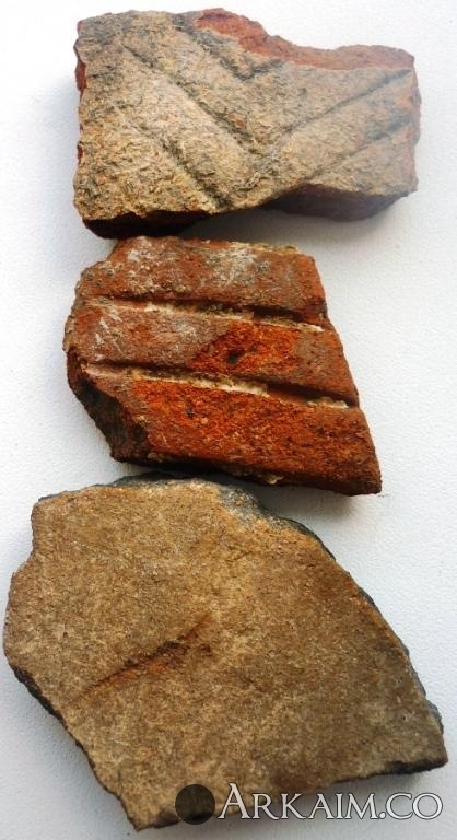 Изображение 3096.jpg