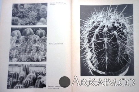 Изображение 3201.jpg