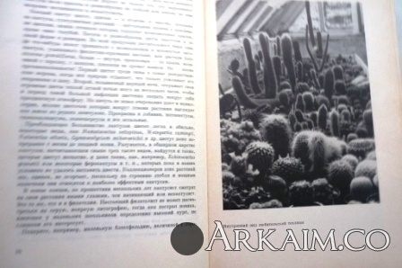 Изображение 3192.jpg