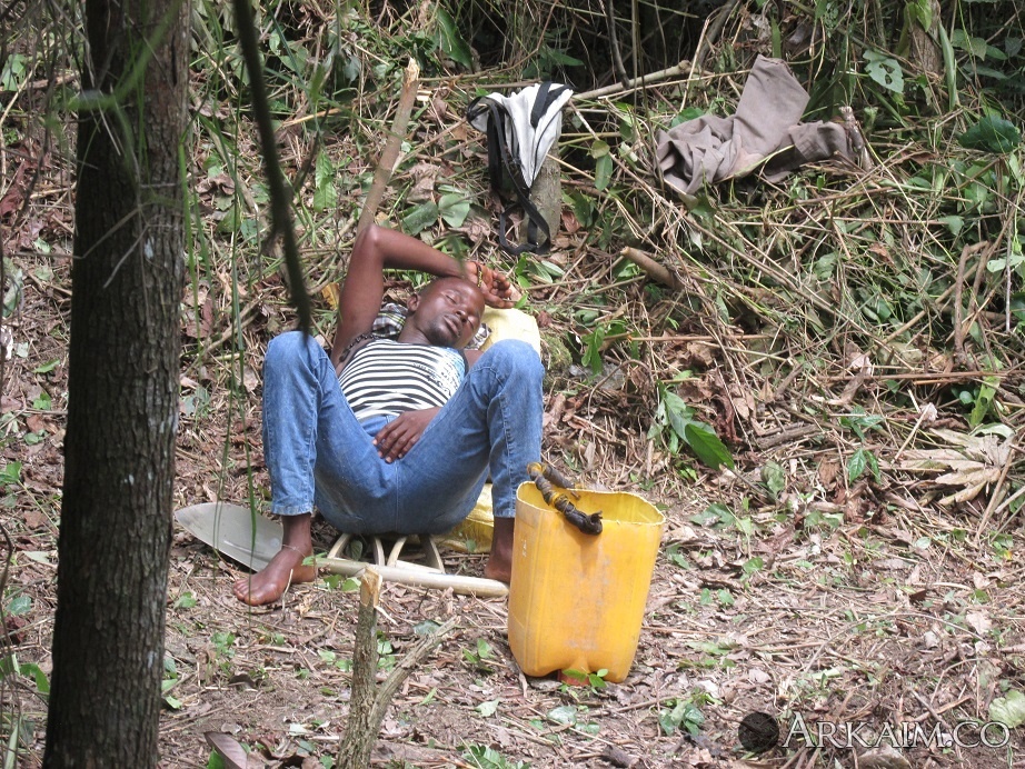 сочетание желто блакидного.jpg