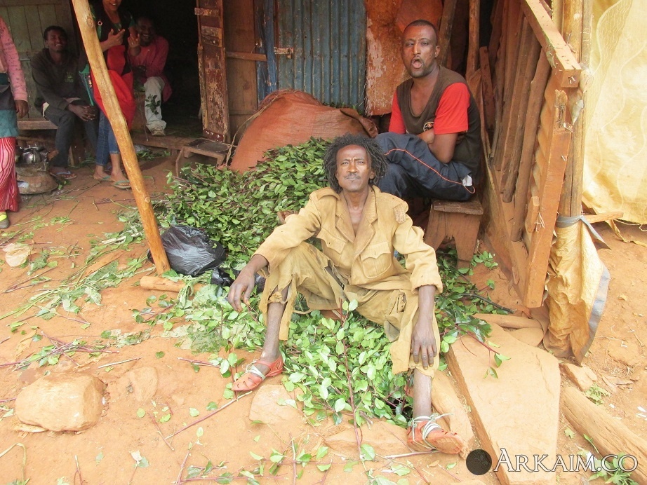 Эфиопы и кат..jpg