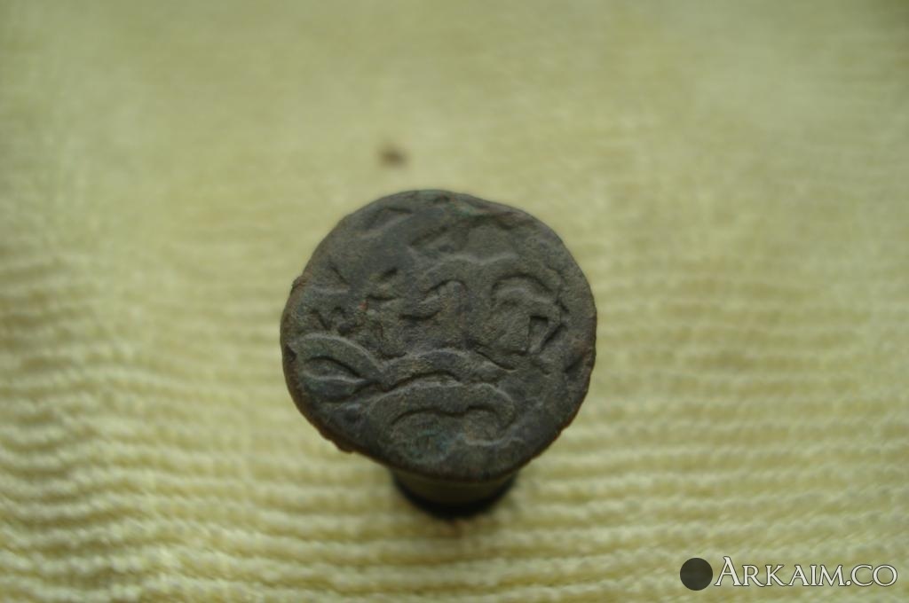 Изображение 3283.jpg