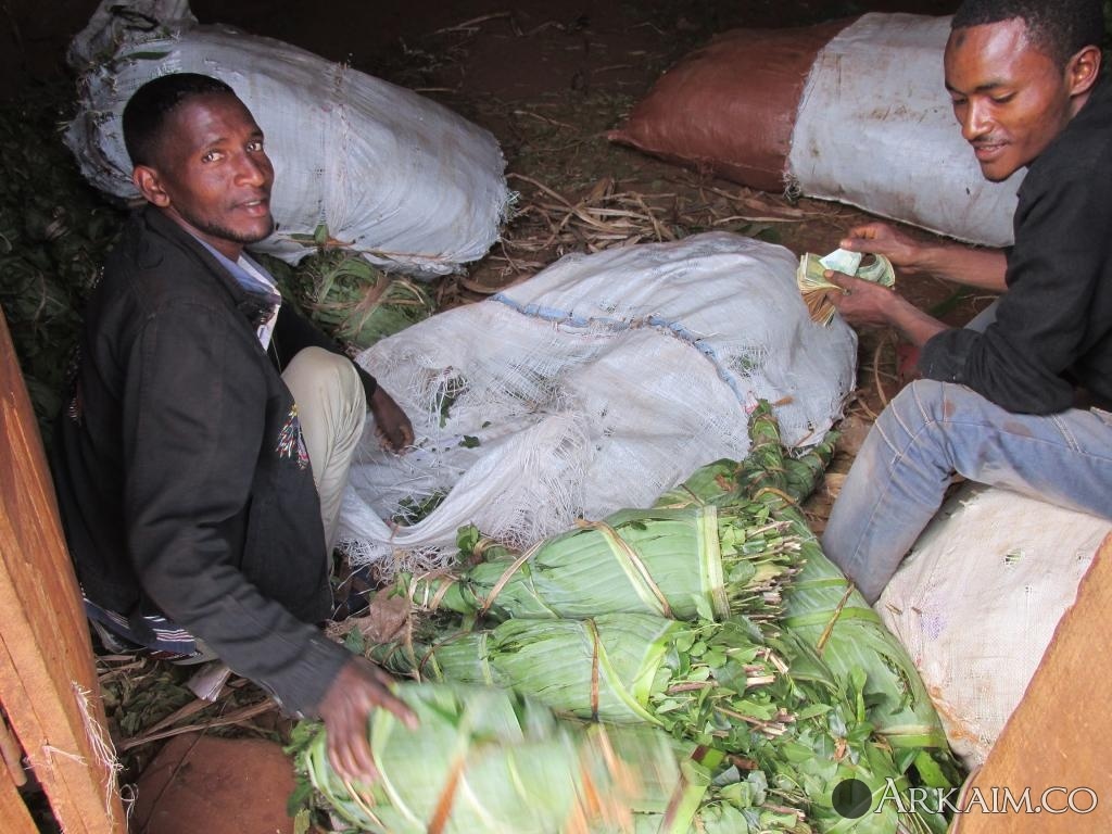 торговцы чатом.jpg