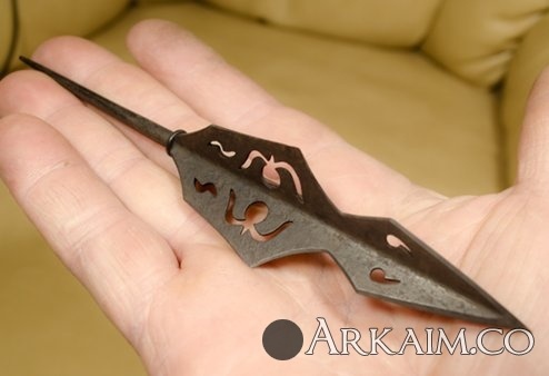 _DSC0775_500 (1).jpg