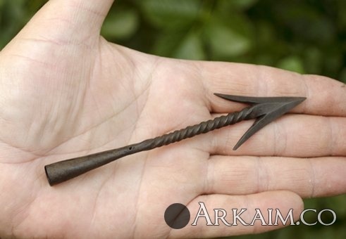 _DSC0679_500 (1).jpg