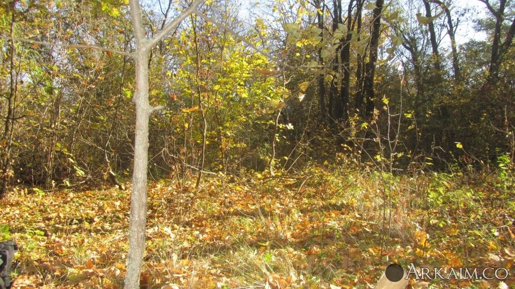 IMG_2425.JPG