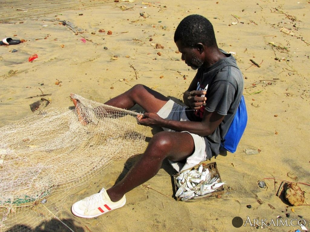 починка сети.jpg