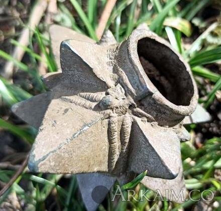 0fd455b1d92bb5ce0cc46765cae4915d-full