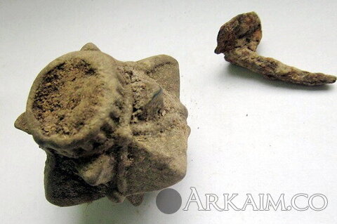 99093_1588702871-терн