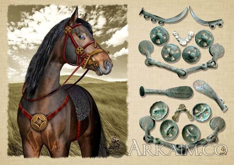 photo_2026-02-09_09-50-12 (2).jpg