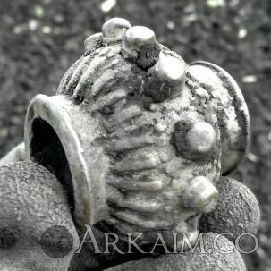 2015515113817_500x667