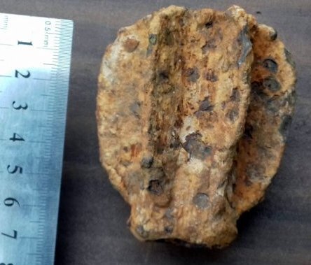 20200124_151543_1_800