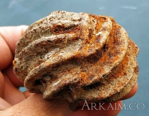 26348f54-bf73-4ad1-a92e-1652edd7f907