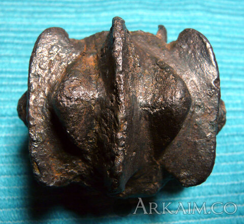 272904928_453531143180159_7149609324715441573_n