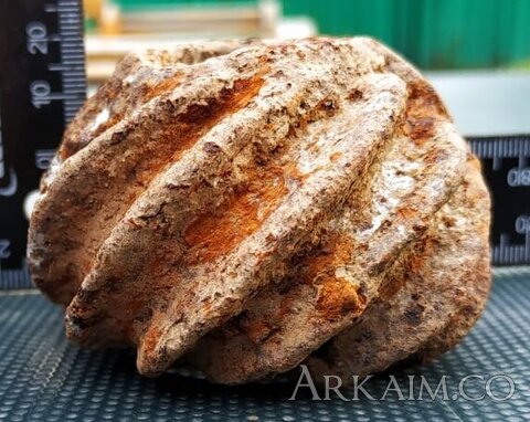 5b0a3007-ba29-4b73-911a-643ad0c756ab