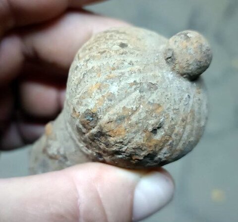 photo_2024-10-10_19-26-33